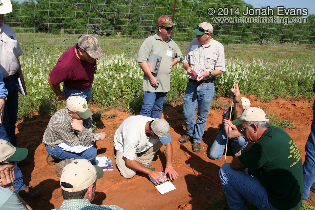 Tracking in South Texas